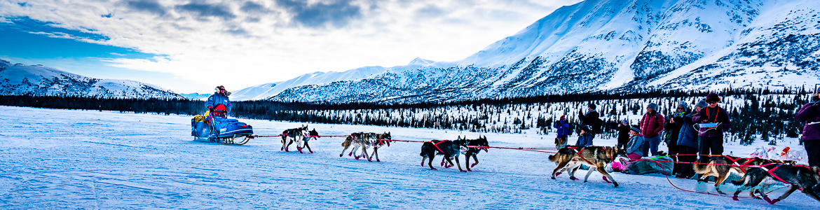 Iditarod Sled Dog Race - My First Iditarod Experience